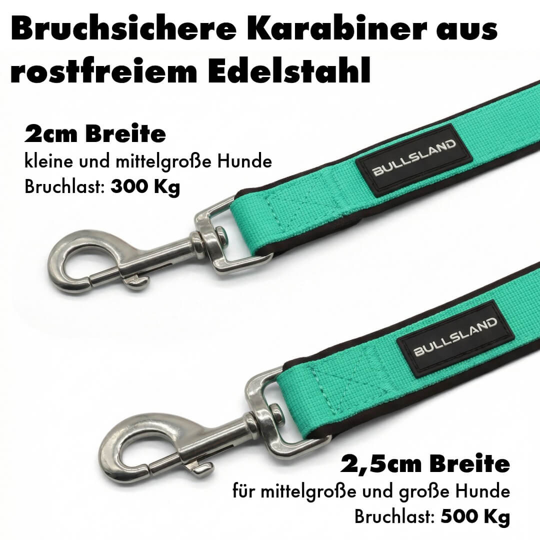 Hundeleine mit Edelstahl Karabiner- 3-fach verstellbar – mit Neoprenpolster - Mint Green
