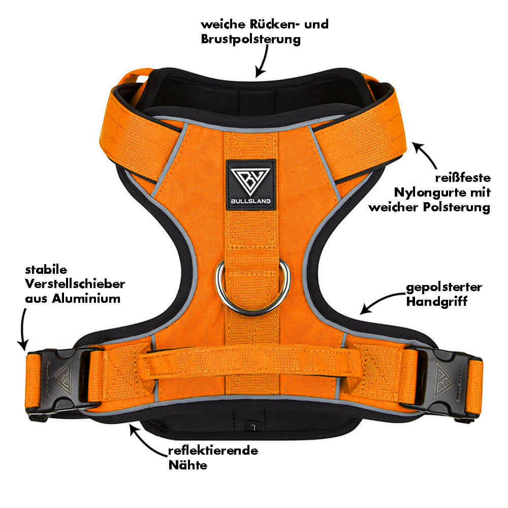 Orangenes Hundegeschirr mit weicher Polsterung, reflektierenden Nähten und Aluminium-Verstellern.