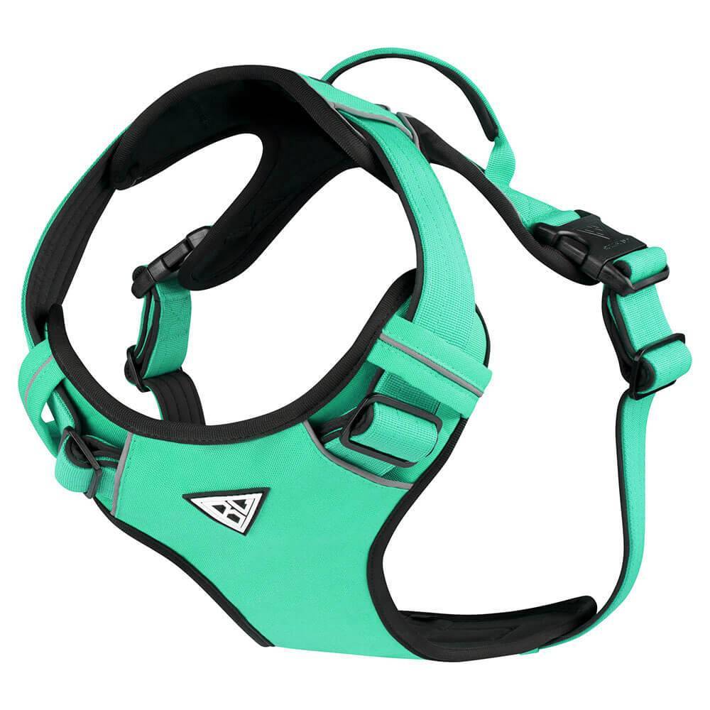 Gepolstertes Hundegeschirr in Mint Grün mit robustem Design und Handgriff.