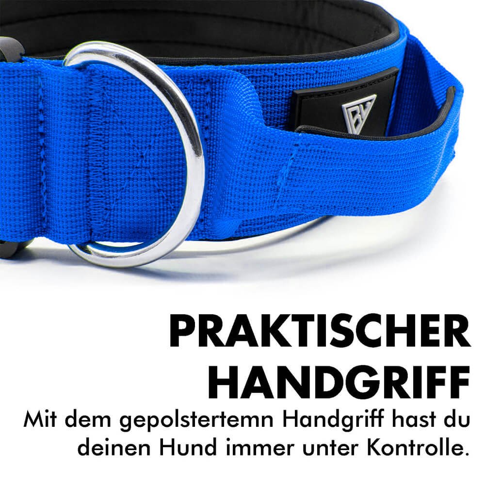 Praktisches Hundehalsband mit gepolstertem Handgriff für optimale Kontrolle.