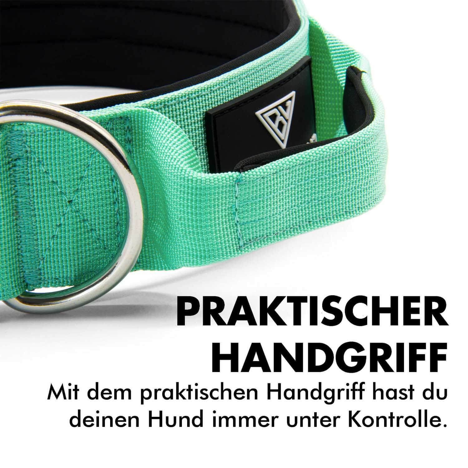 Taktisches Hundehalsband mit praktischem Handgriff von Bullsland Dogwear in mint gruen.