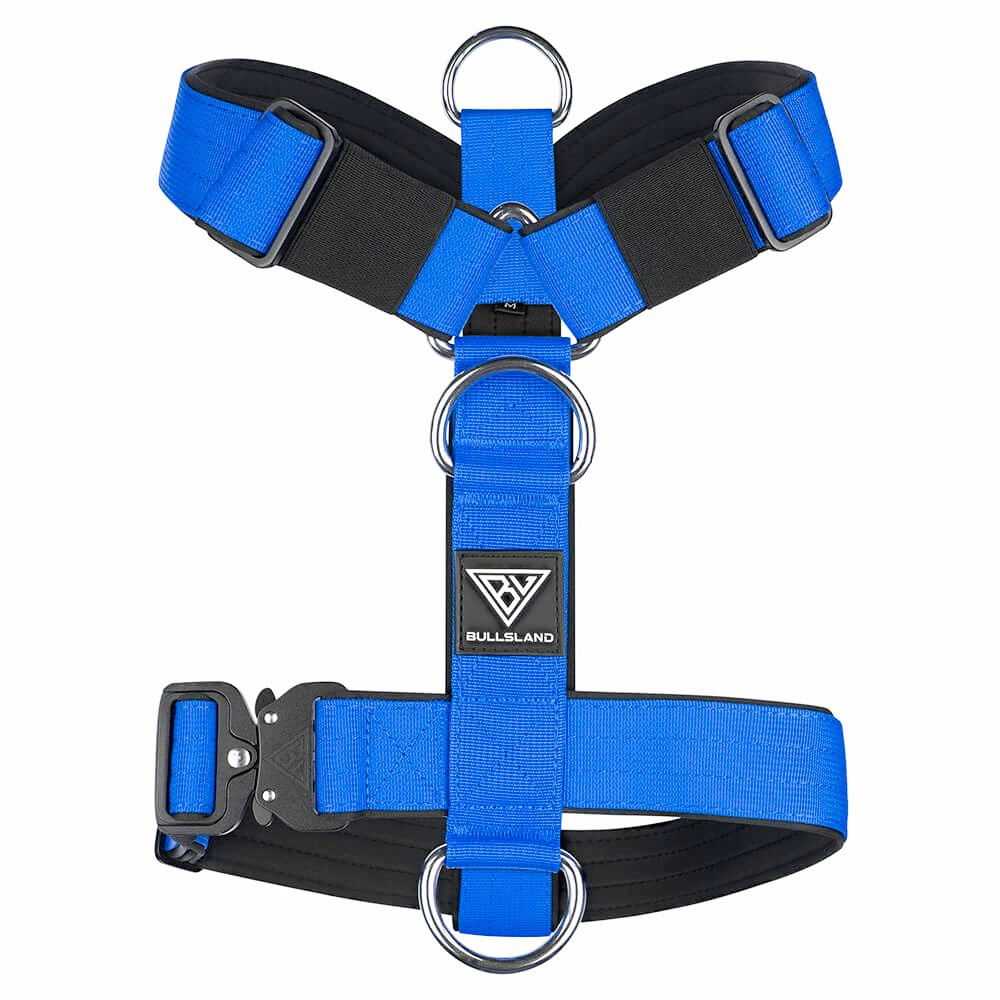 Taktisches Y-Hundegeschirr in Blau mit gepolstertem Gurtband und Logo.