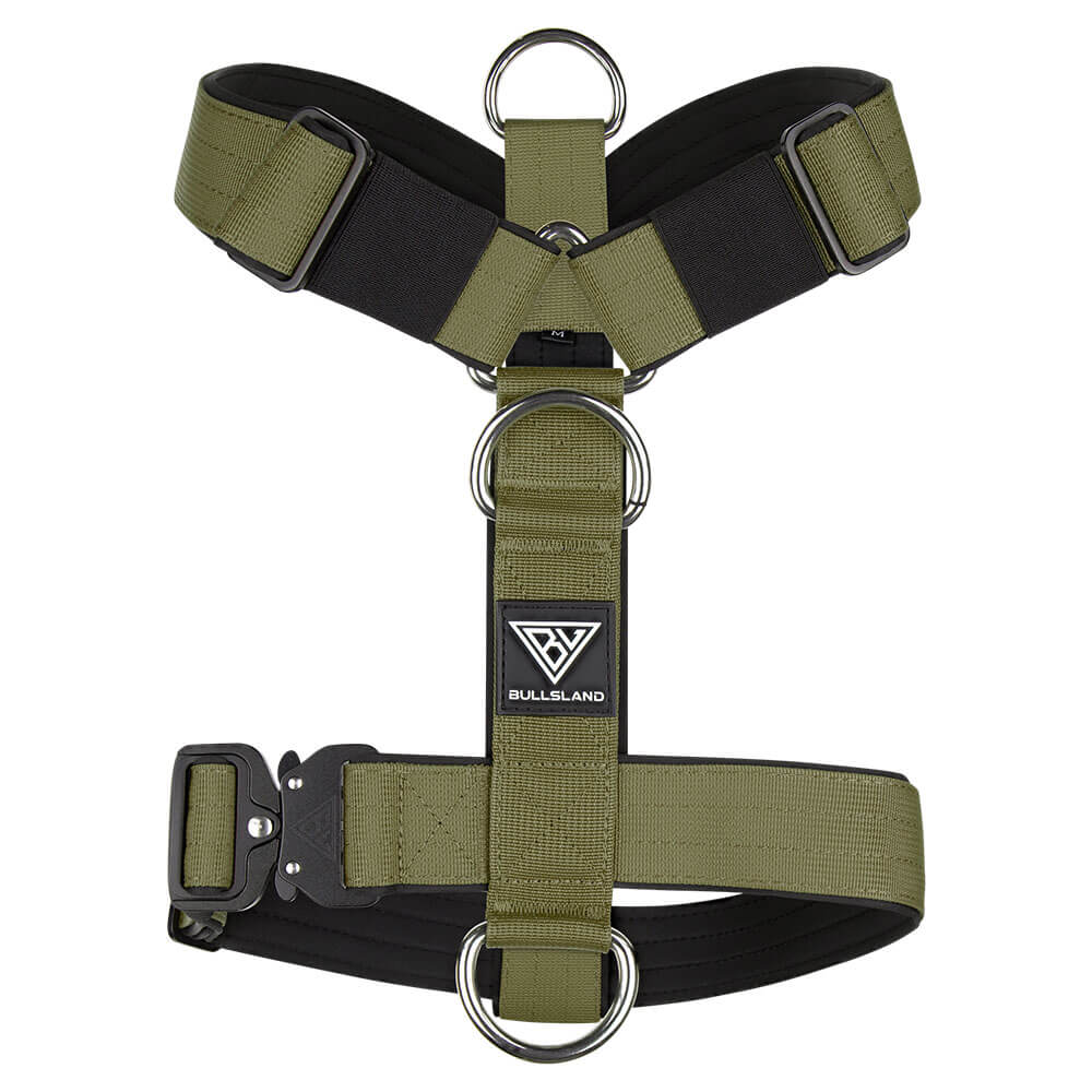 Premium Y-Geschirr mit mehreren D-Ringen und gepolstertem Material.