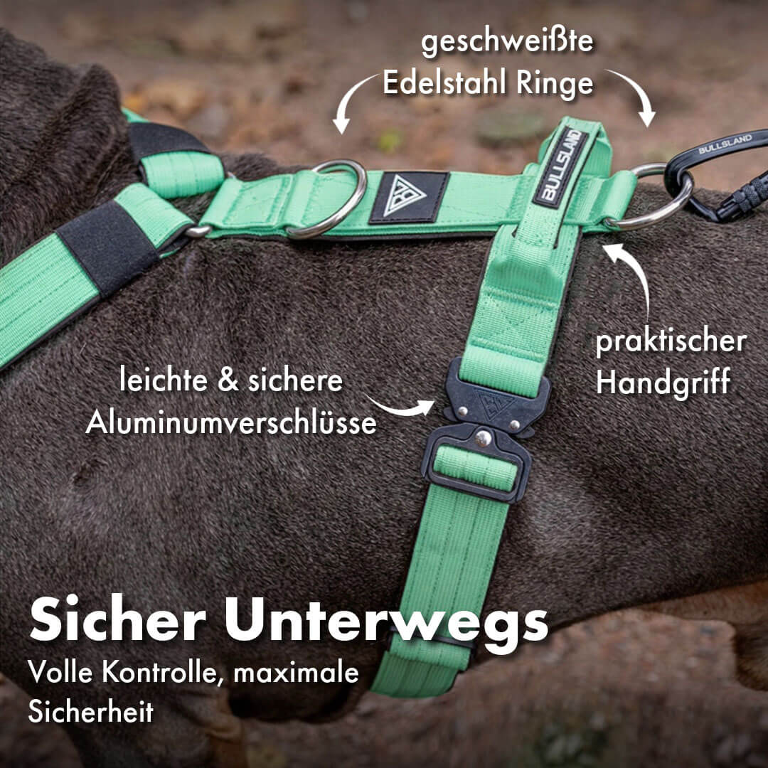 Taktisches Y-Geschirr "Pro" – mit Handgriff - Mint Green
