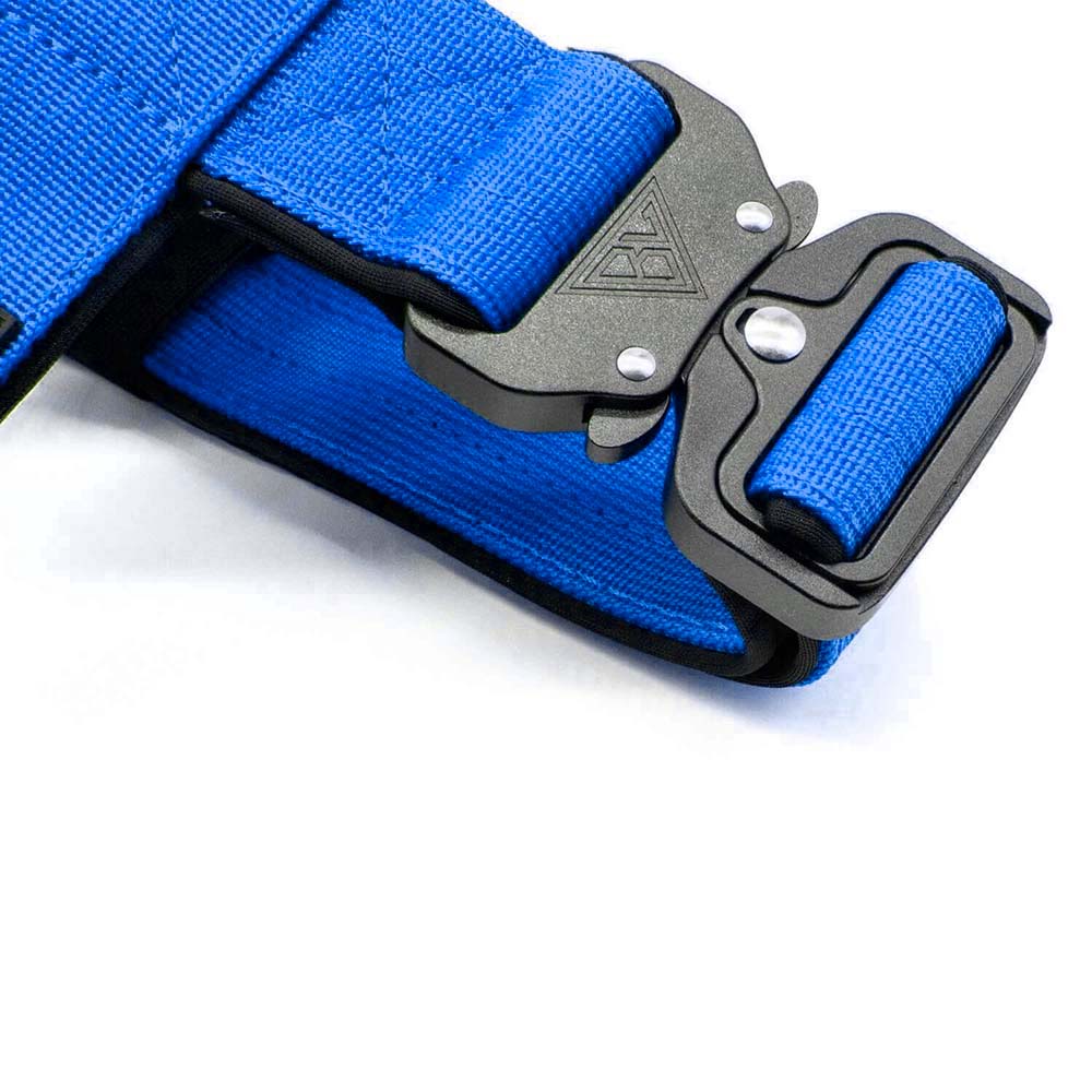 Nahaufnahme des Sicherheitsverschlusses am blauen taktischen Hundegeschirr.
