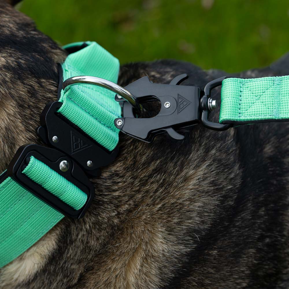 Taktische Hundeleine mit Sicherheitsverschluss, angebracht an einem taktischen Hundehalsband in Mint Grün.