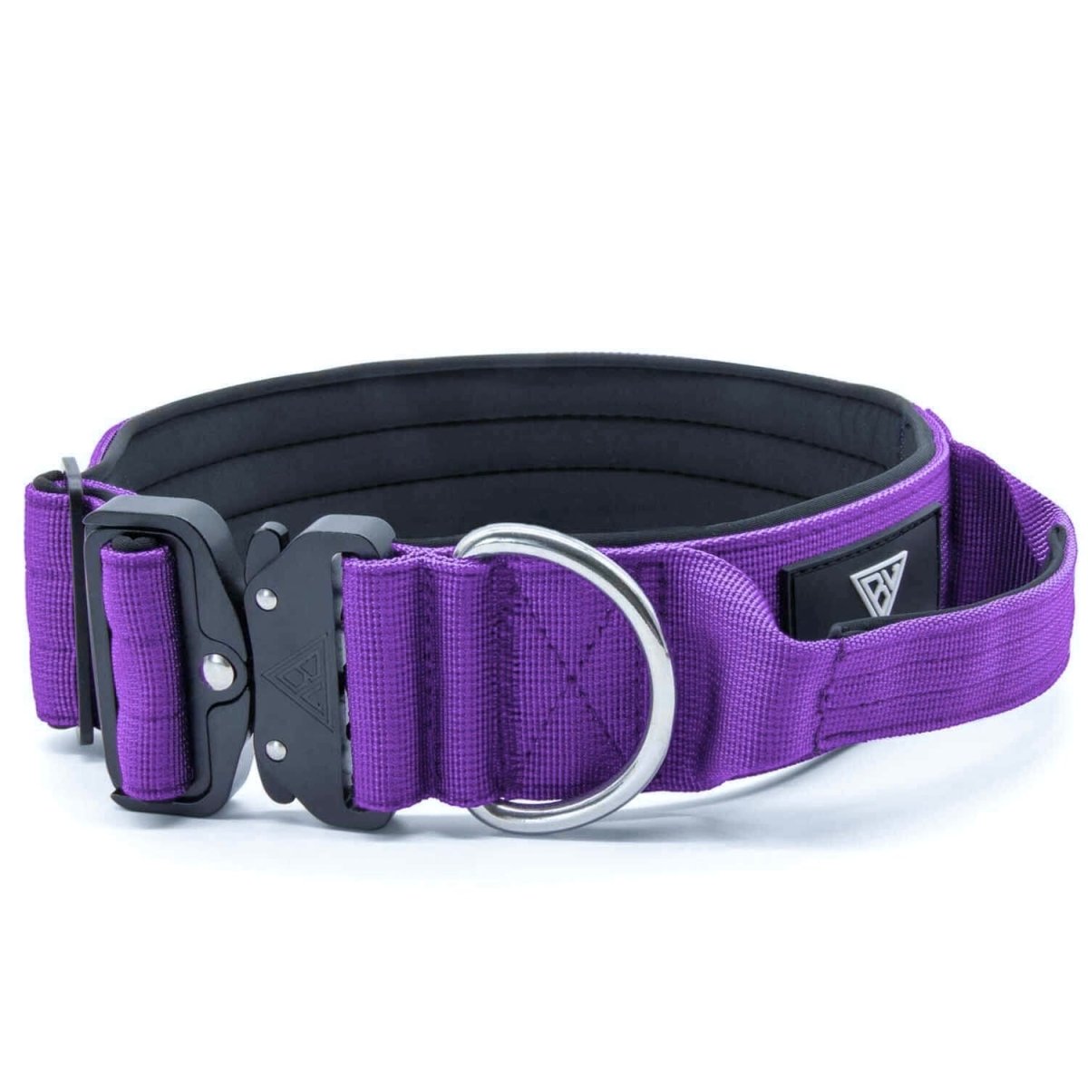 taktisches hundehalsband in lila